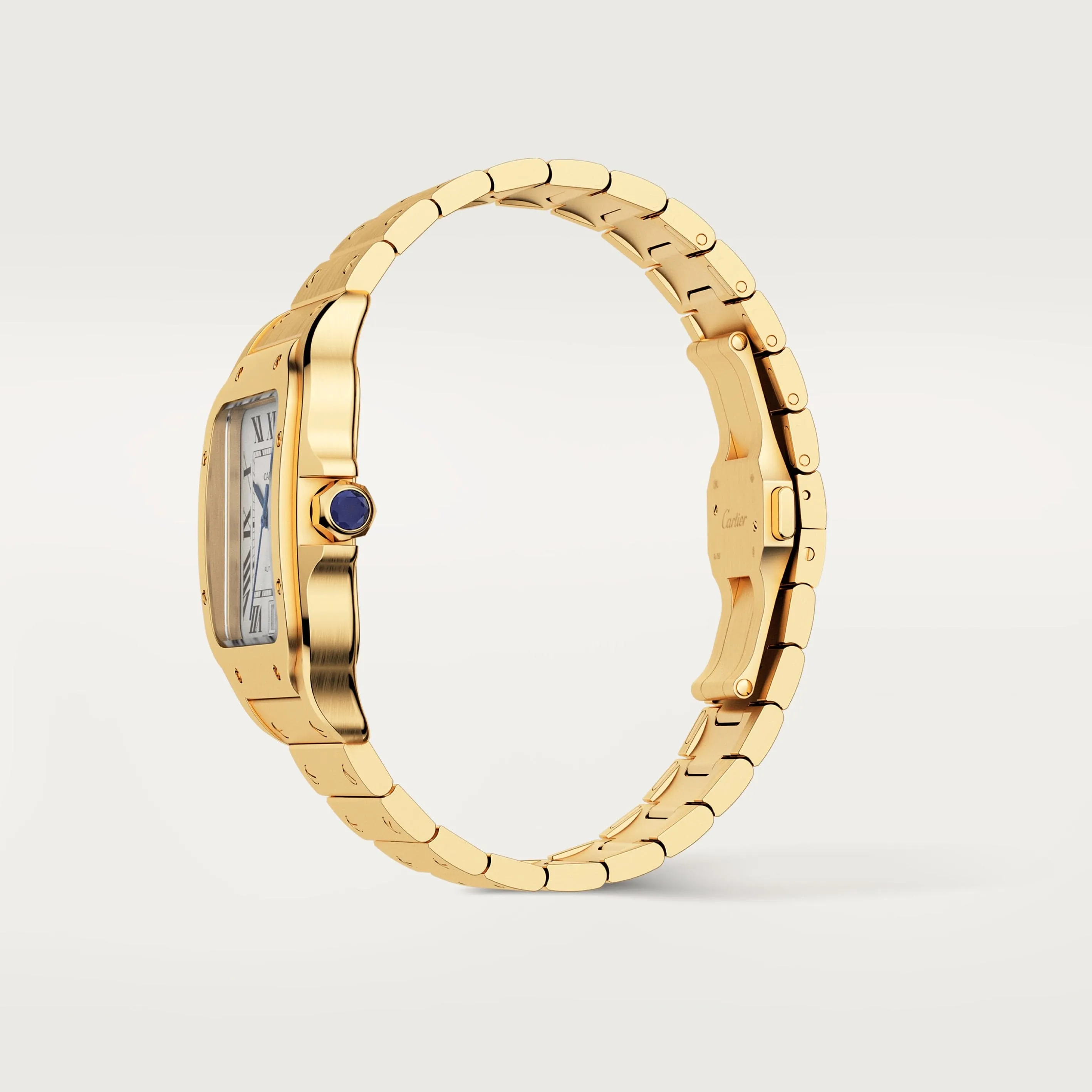 Santos de Cartier watch CRWGSA0029