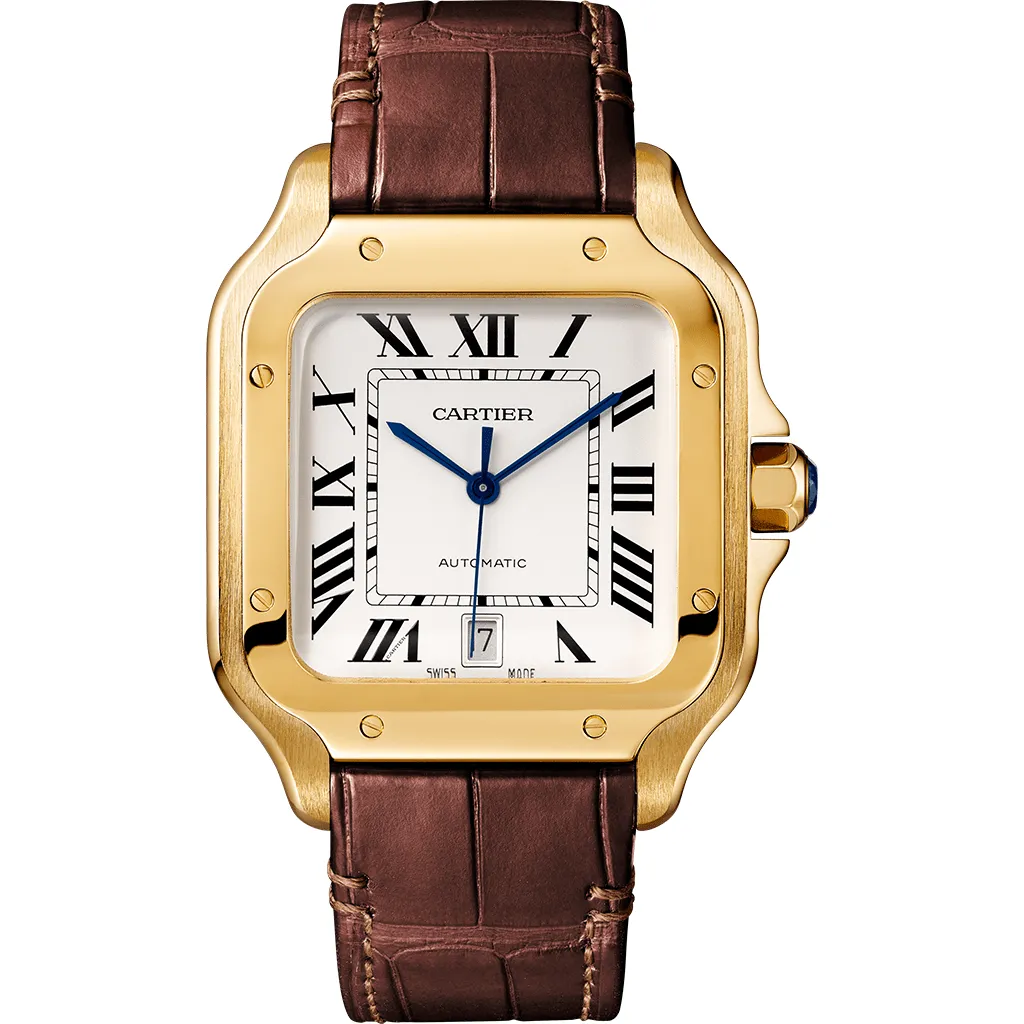 Santos de Cartier watch CRWGSA0029