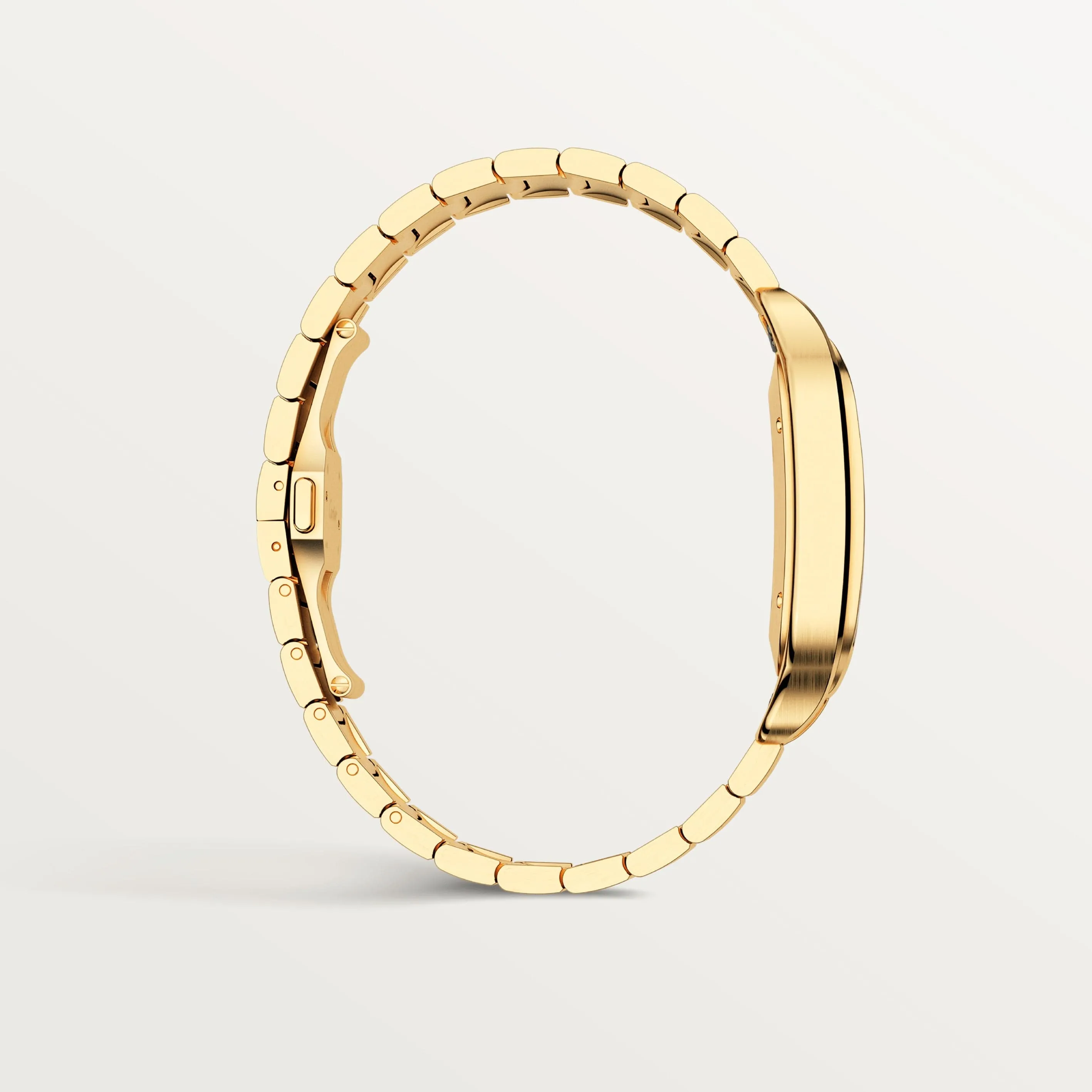 Santos de Cartier watch CRWGSA0029
